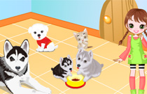 Play Pets House